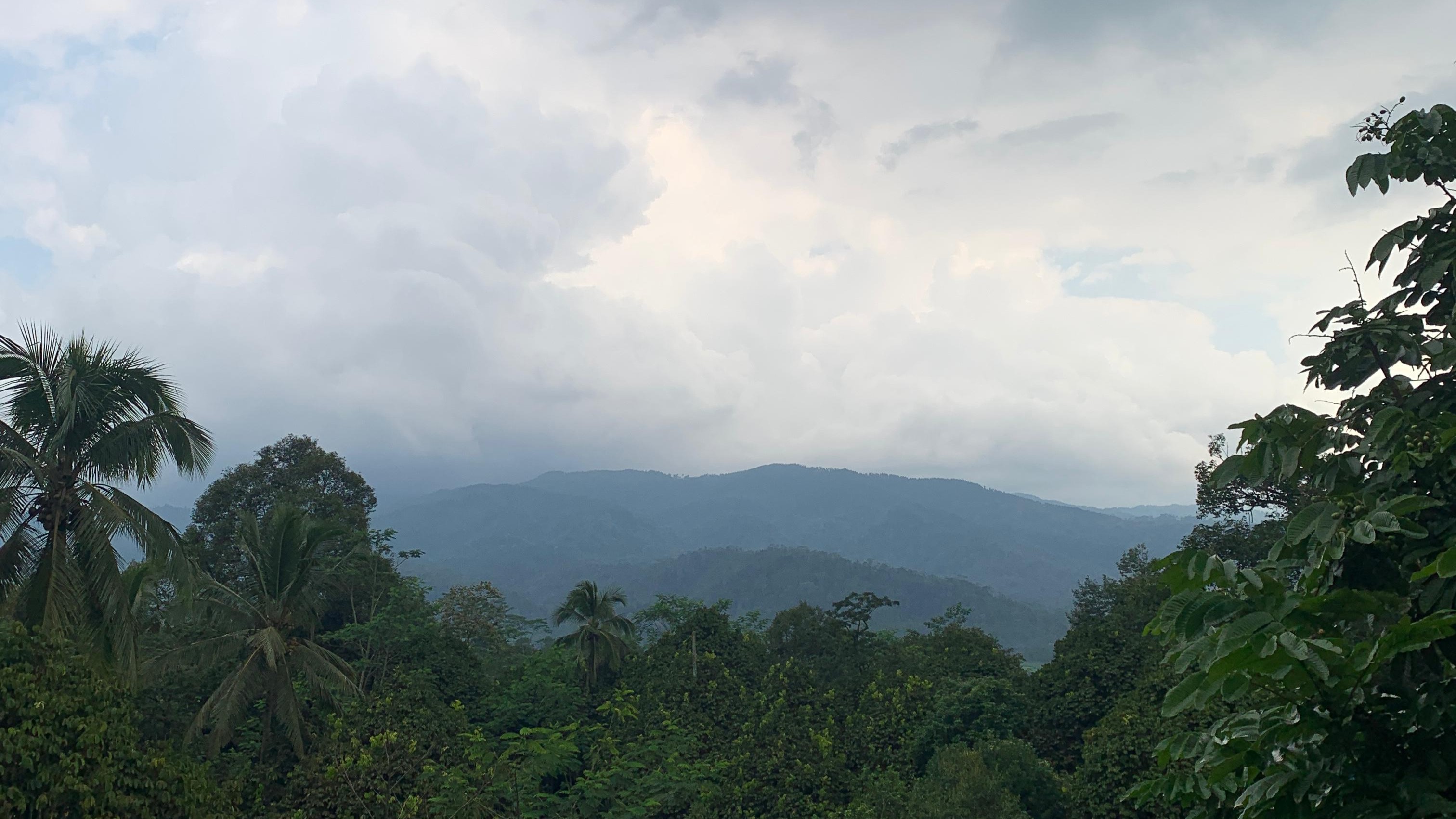 Pemandangan Desa Karanganyar